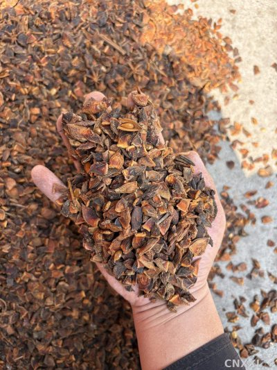spice_26046_305c8ff3_1.jpg