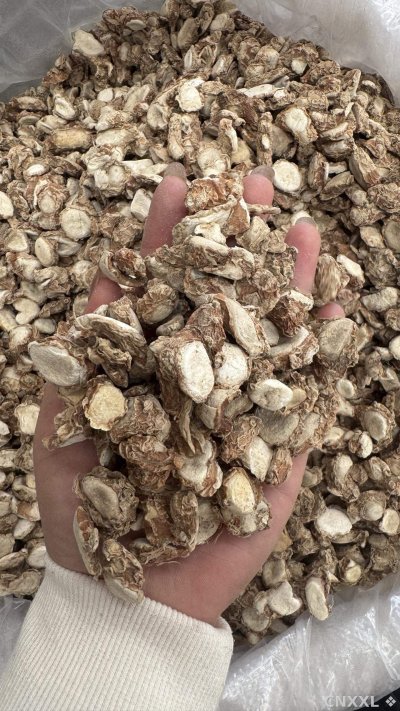 spice_26065_bc4d6b27_1.jpg
