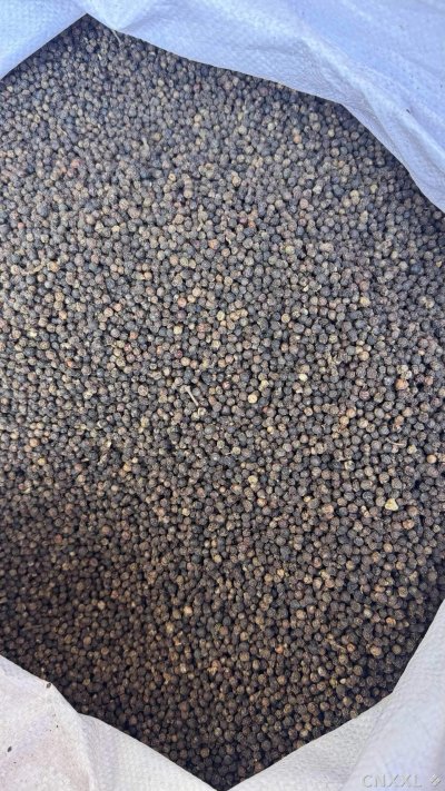 spice_26076_002771fd_3.jpg