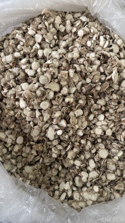 spice_26084_5609694c_3.jpg