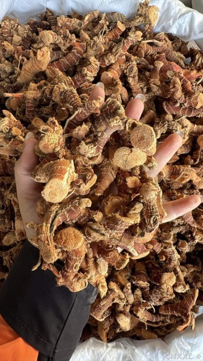 spice_26086_5d59d64c_2.jpg