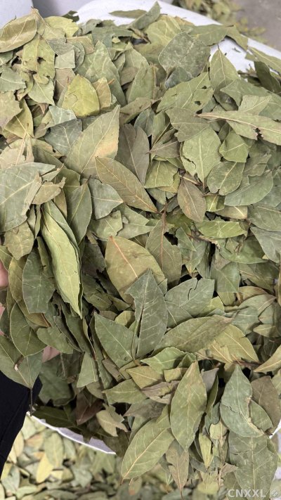 spice_26087_f86250f8_3.jpg