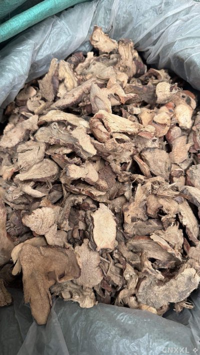 spice_26099_c86c16c5_3.jpg