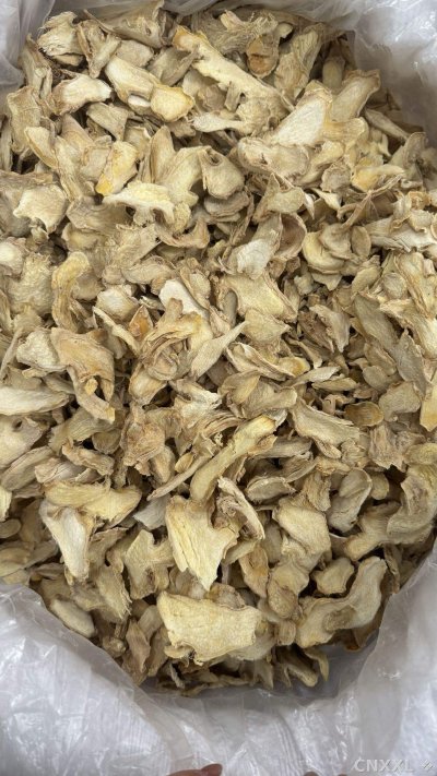 spice_26106_5d74473d_3.jpg