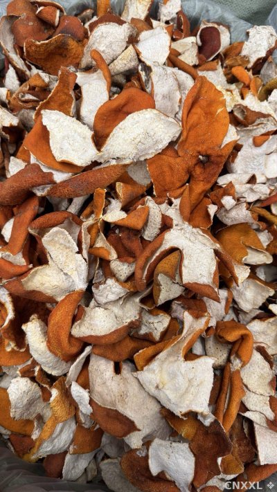 spice_26110_ba77f63e_2.jpg