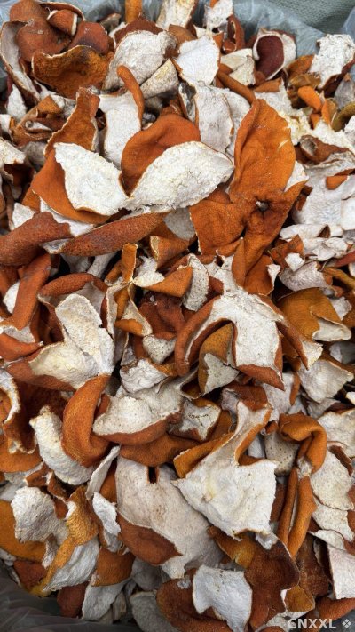 spice_26110_f11879e7_3.jpg