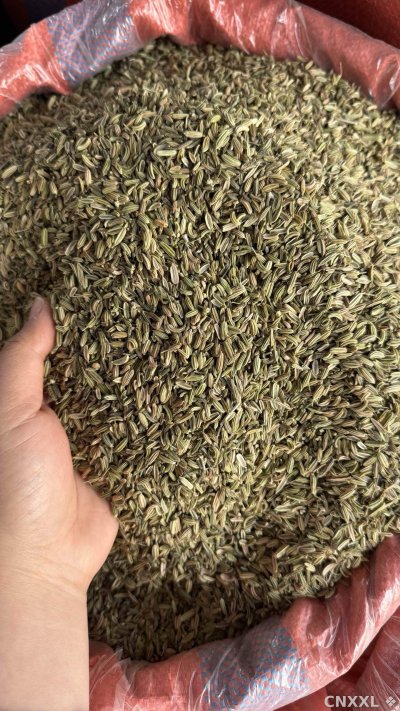 spice_26117_9201a7fe_3.jpg