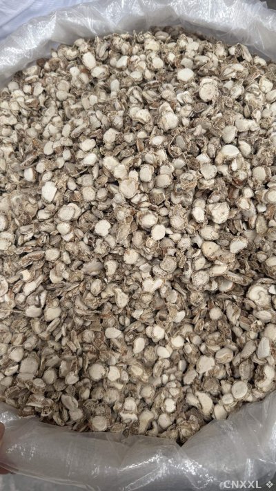 spice_26135_14c3a5a2_2.jpg