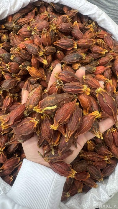 spice_26141_a5c5bc7c_2.jpg