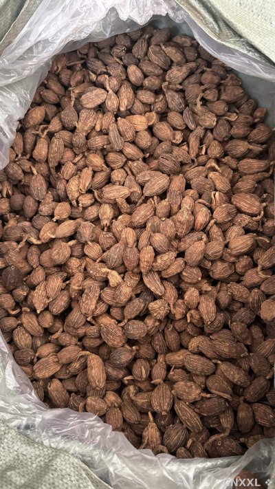 spice_26150_fca7e263_3.jpg
