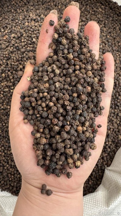 spice_26158_e7f3da71_1.jpg