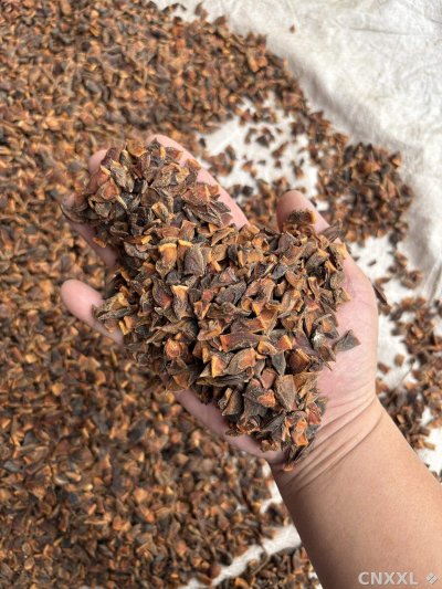 spice_26159_787b92ad_1.jpg