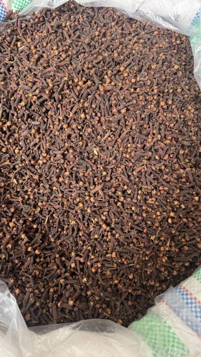spice_26178_04468410_3.jpg