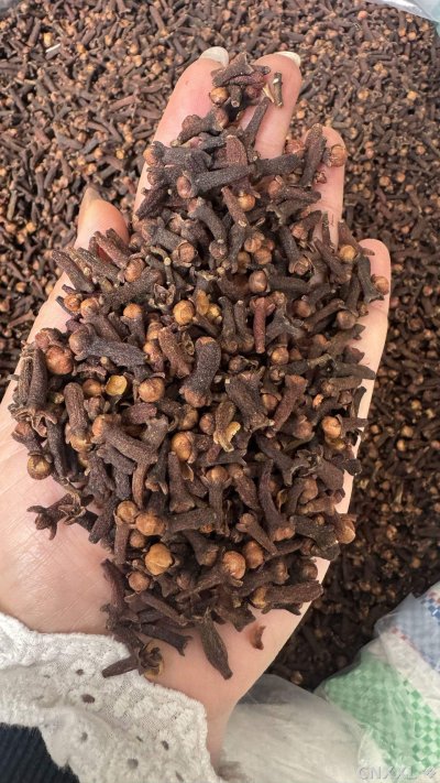 spice_26178_c171d0cd_1.jpg