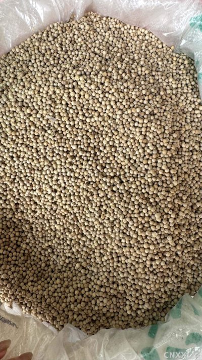 spice_26179_ffac31cb_3.jpg