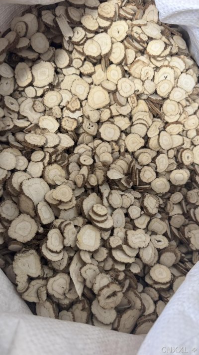 spice_26196_12ce0c94_3.jpg