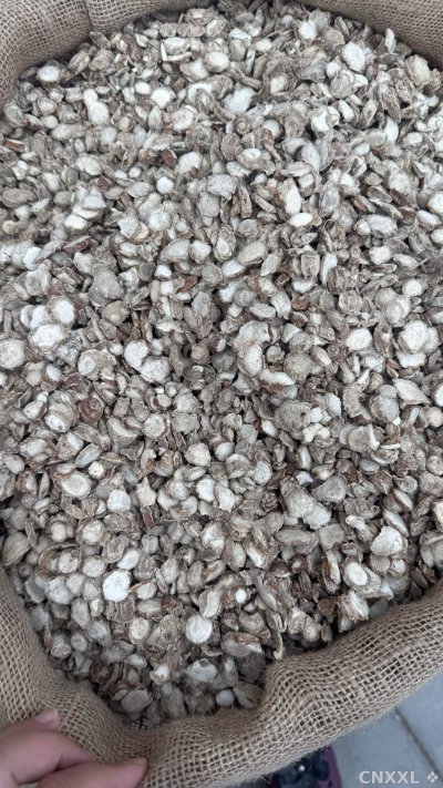 spice_26197_4a3baf86_3.jpg