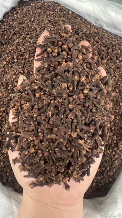 spice_26198_a7a1550f_1.jpg