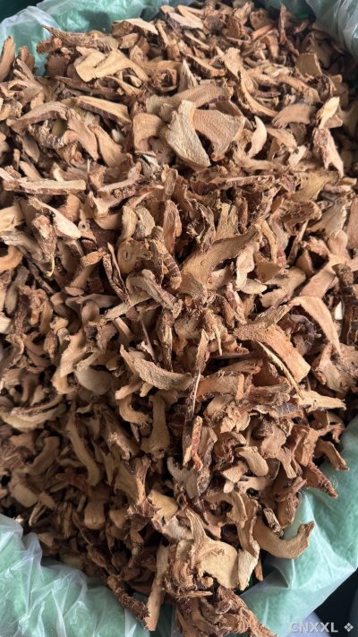 spice_26201_34f4a9f5_3.jpg