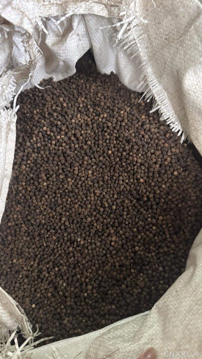 spice_26202_cbf88cc8_3.jpg