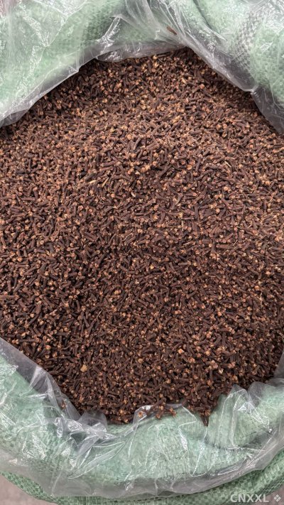 spice_26206_501387cd_3.jpg