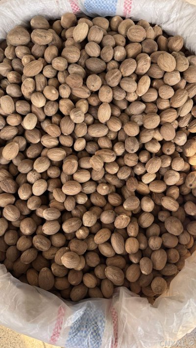 spice_26208_45808fa1_3.jpg