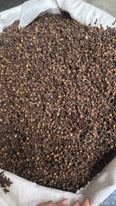spice_26212_67fe46bf_3.jpg
