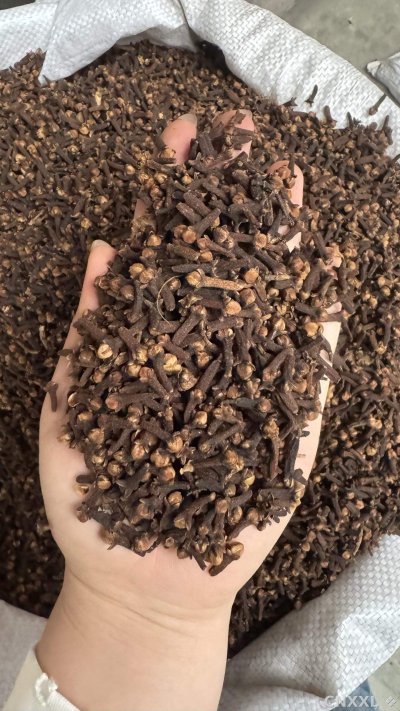 spice_26212_de97e4c4_2.jpg
