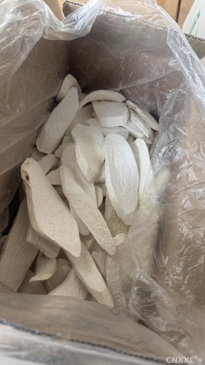 spice_26221_fc71a931_2.jpg