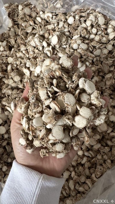 spice_26227_fba8e83e_2.jpg