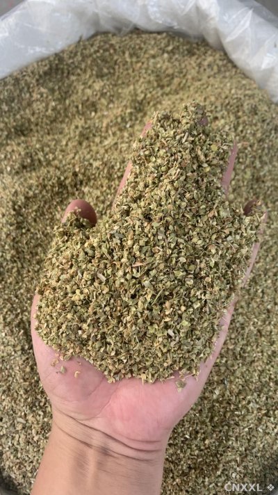 spice_26228_6de08771_2.jpg