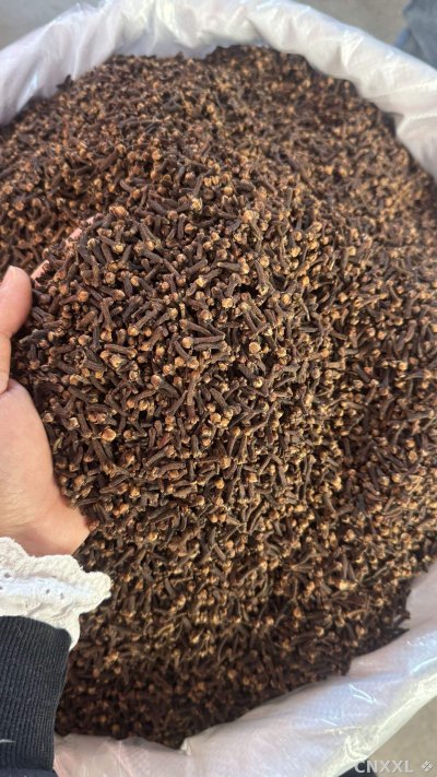 spice_26232_f76fc652_3.jpg