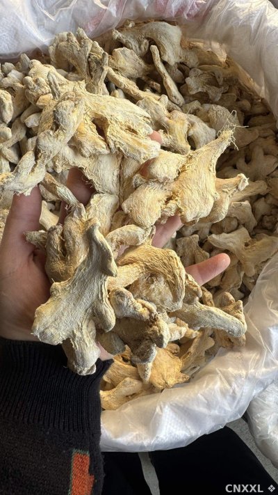 spice_26238_f463fdb4_1.jpg