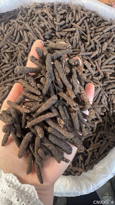 spice_26239_5e1f7a4d_1.jpg