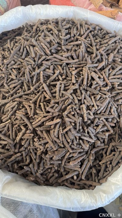 spice_26239_e2d1ab74_3.jpg
