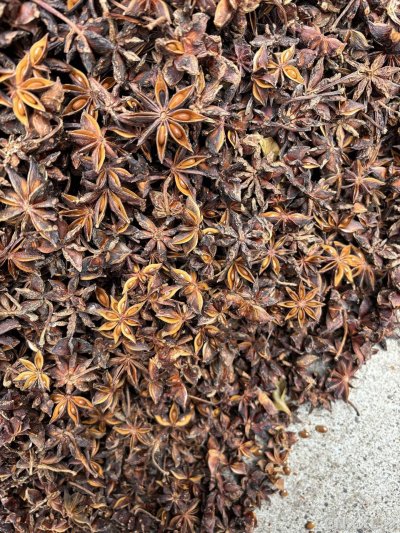 spice_26249_9f8ec64f_3.jpg