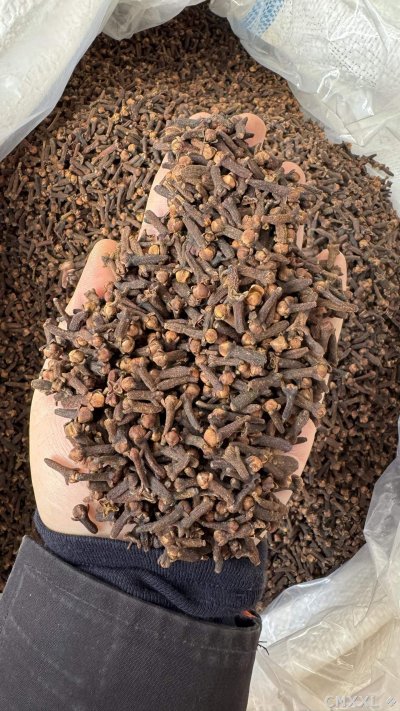 spice_26259_c5f0f22f_1.jpg