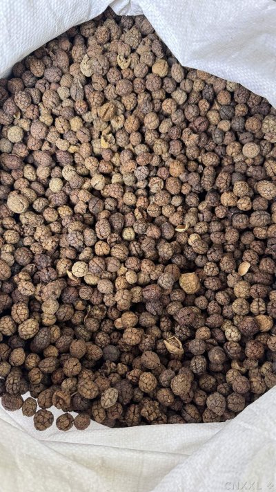 spice_26266_ba8e82cd_3.jpg