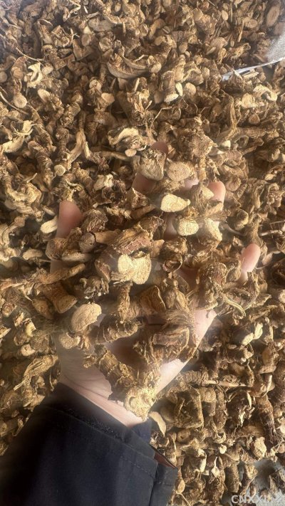 spice_26280_a1849808_2.jpg
