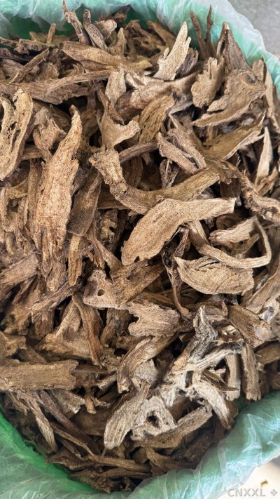 spice_26281_4d1b1308_3.jpg