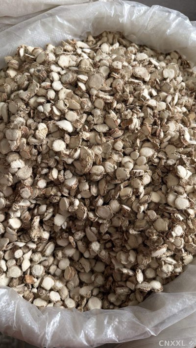 spice_26283_0d1e73f8_2.jpg