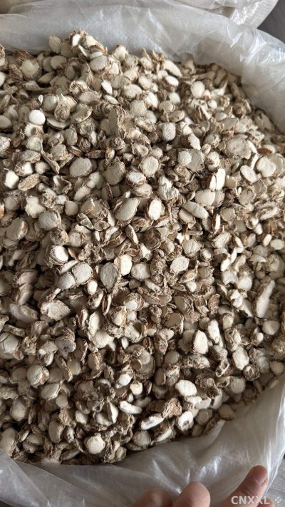 spice_26283_6c3f1489_3.jpg