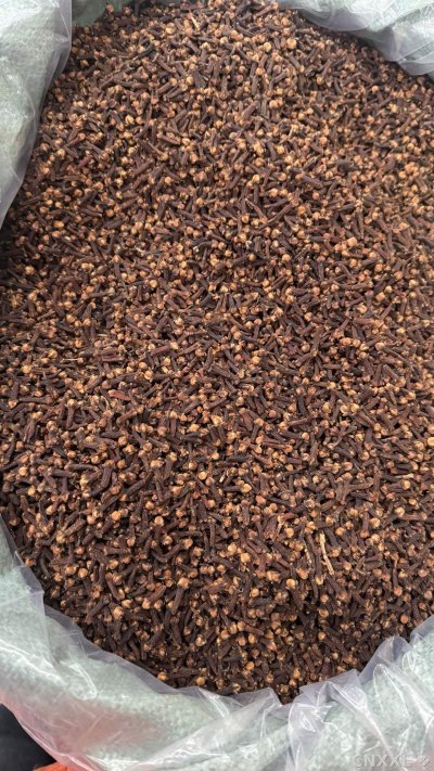 spice_26284_3b0dc9ab_2.jpg