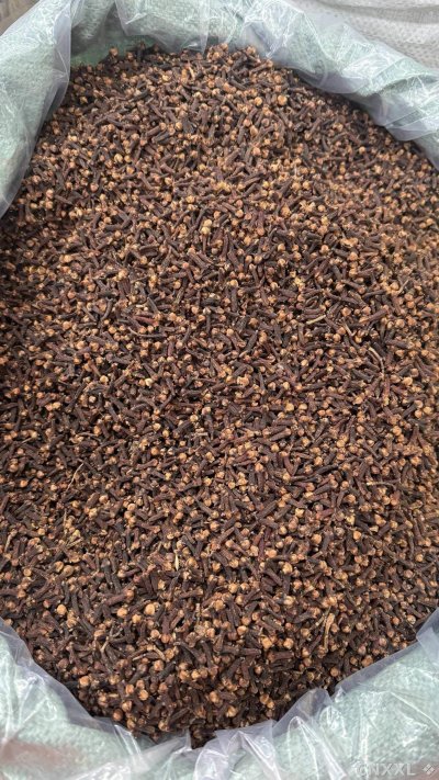 spice_26284_af987076_3.jpg