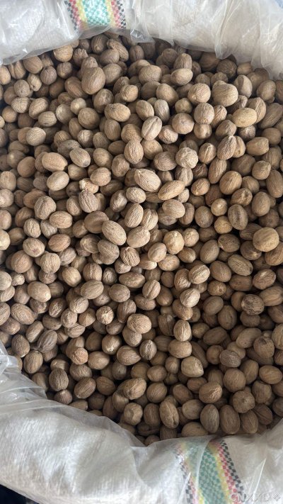 spice_26286_fc7d508e_3.jpg
