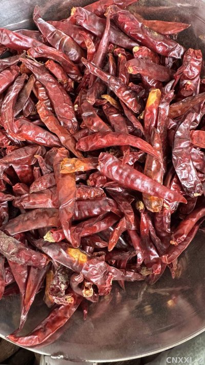 spice_26301_c9030050_3.jpg