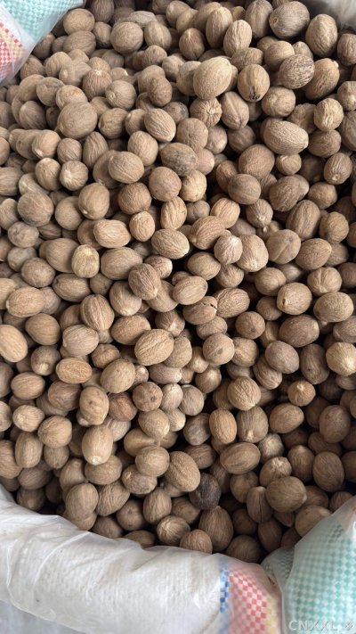 spice_26307_40462cc3_3.jpg