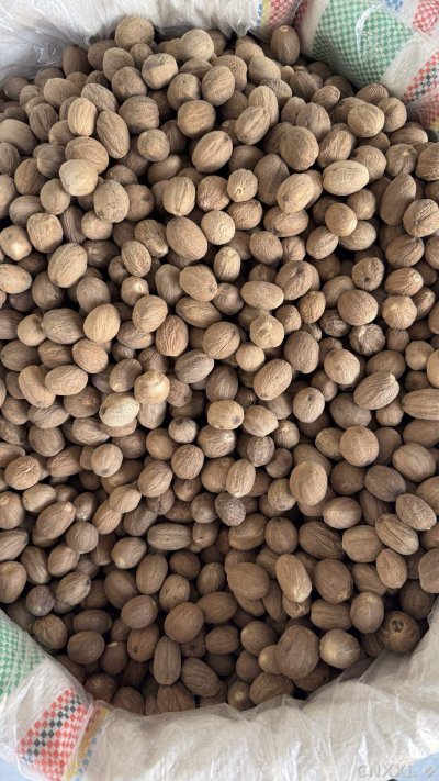 spice_26307_a1458590_3.jpg