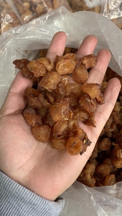 spice_26308_2d21dd5d_1.jpg