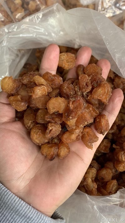 spice_26308_aab30b62_2.jpg